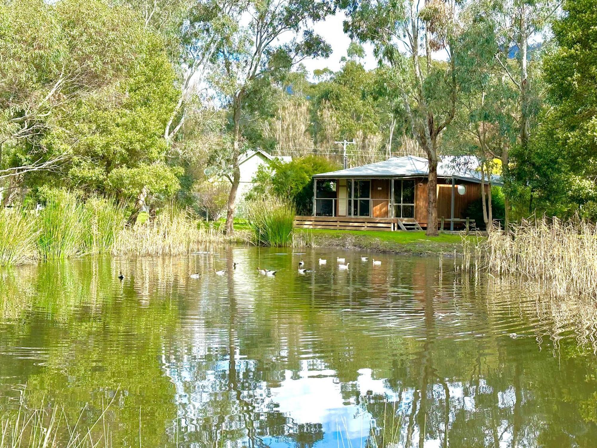 Grampians Chalets Halls Gap Exterior foto